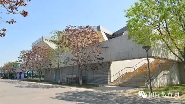 重庆徐悲鸿中学教材版本_中学英语徐悲鸿版本怎么样_徐悲鸿中学英语版本